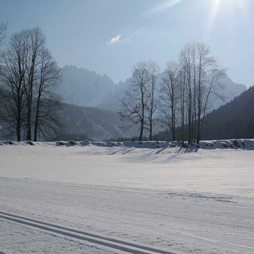 Skifahren in Gosau Johanna VIERTHALER Ferienwohnungen