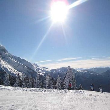 Skifahren in Gosau Johanna VIERTHALER Ferienwohnungen